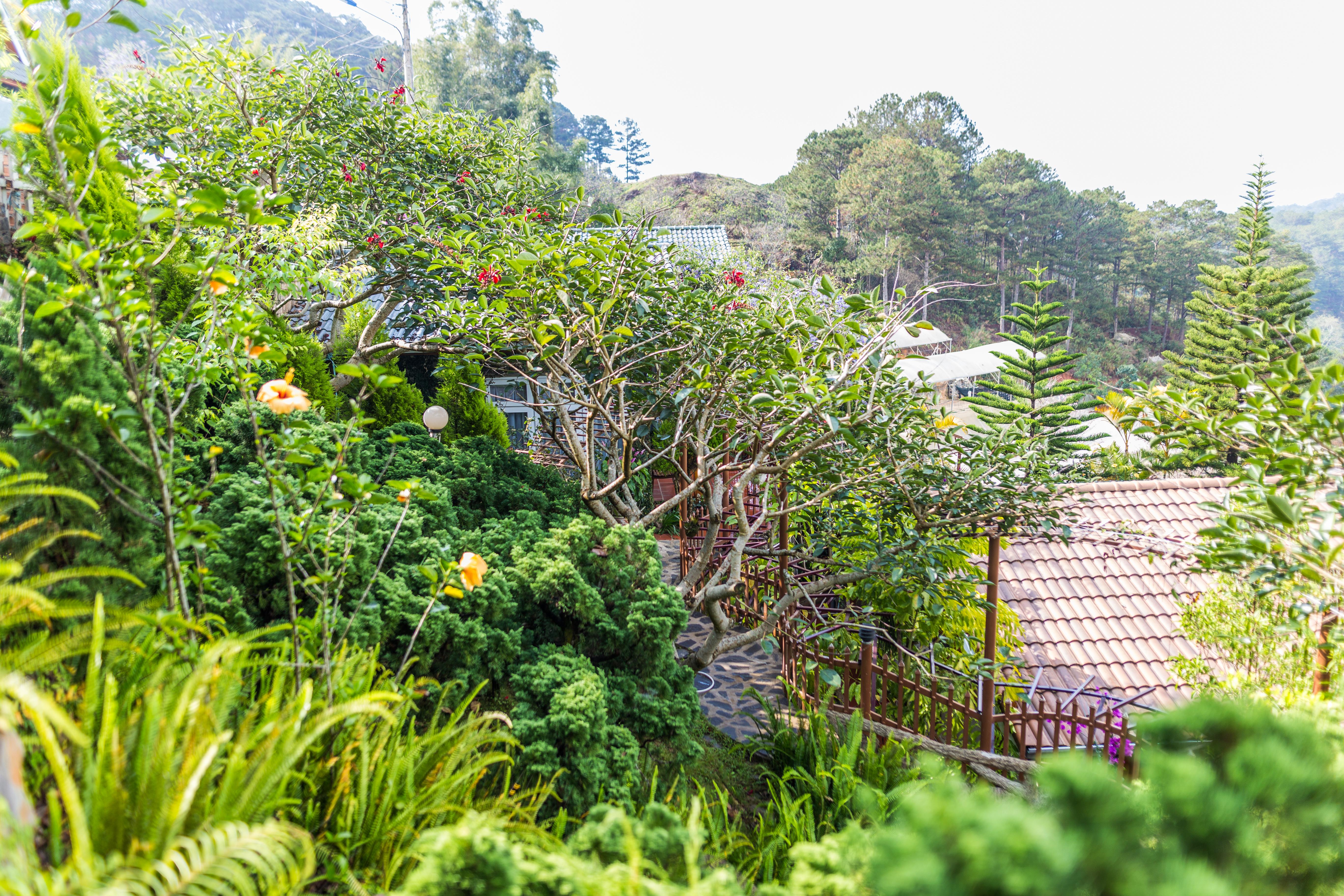 Zen Valley Dalat Esterno foto